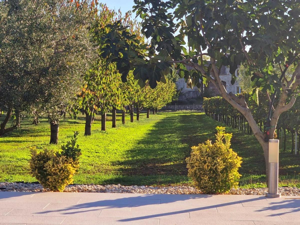 Villa Lorema-Pet Friendly On 5000 Sqm Garden,Pool, Jacuzzi, Billiard&Ps5 سفيتي فيليب ياكوف المظهر الخارجي الصورة