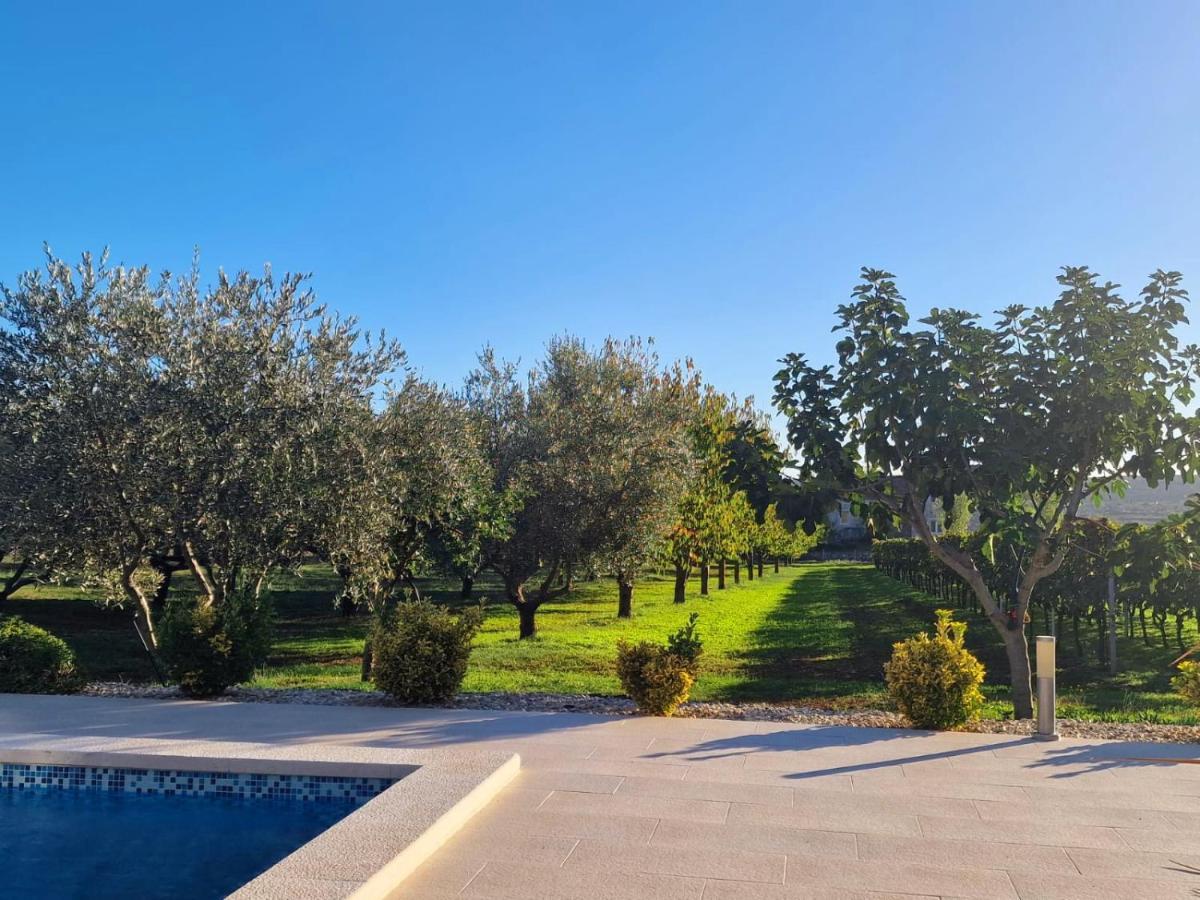 Villa Lorema-Pet Friendly On 5000 Sqm Garden,Pool, Jacuzzi, Billiard&Ps5 سفيتي فيليب ياكوف المظهر الخارجي الصورة